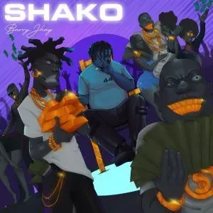 Barry Jhay – Shako