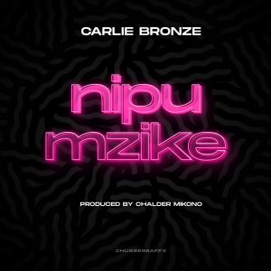 Carlie Bronze – Nipumzike