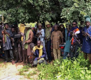 Bandits threaten to tax farmers before allowing them to harvest their crops in Niger